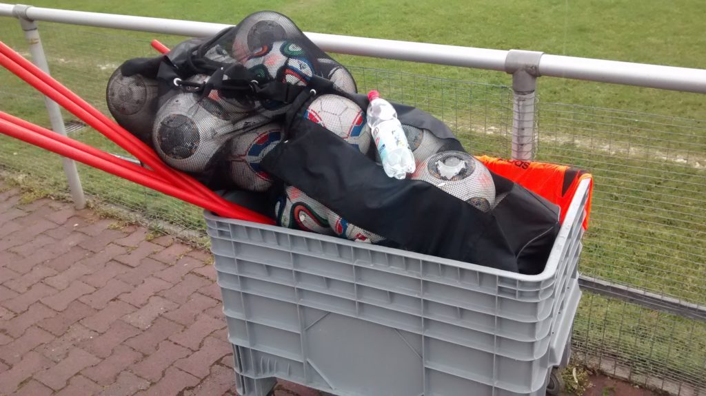 Wo hier wohl die Leibchen versteckt sind?